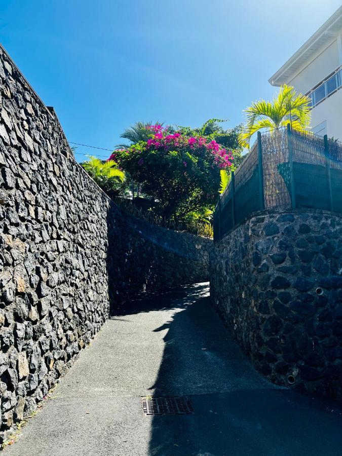 Appart. Avec Grande Terrasse Vue Ocean Apartment Saint-Gilles-les-Bains Exterior photo